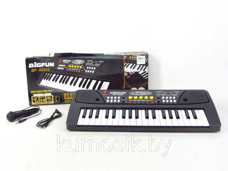 Детский синтезатор с микрофоном, с USB и MP3, от сети 37 клавиш Bigfun BF-430A2 - фото 1 - id-p193312399