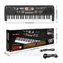 Детский синтезатор с микрофоном, с USB и MP3, от сети 61 клавиша Bigfun BF-730A2