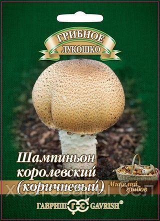 Мицелий Шампиньон королевский (коричневый) на зерновом субстрате 15 мл (Гавриш) - фото 1 - id-p193312590