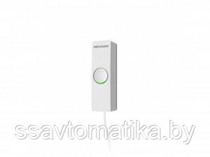Hikvision DS-PM-WI1 - фото 1 - id-p193354553
