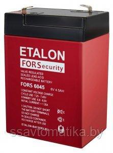 ETALON ETALON FORS 6045 - фото 1 - id-p193378630