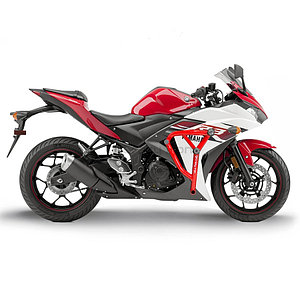 Клетка PRO YAMAHA YZF-R25 `15-`18, YZF-R3 `15-`18 "CRAZY IRON"