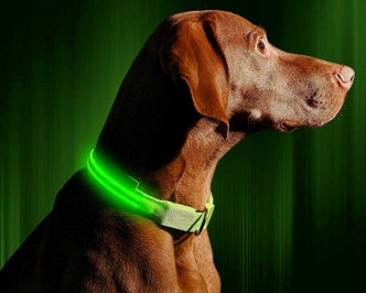 Светящийся ошейник для собак (3 режима) Glowing Dog Collar Зеленый М (MAX 45 sm)