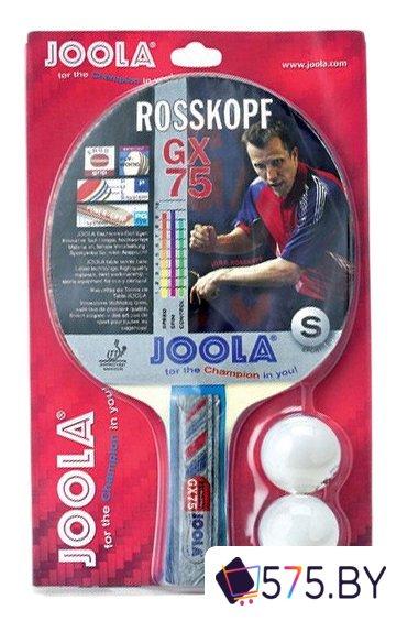 Набор для настольного тенниса Joola Rosskopf GX75