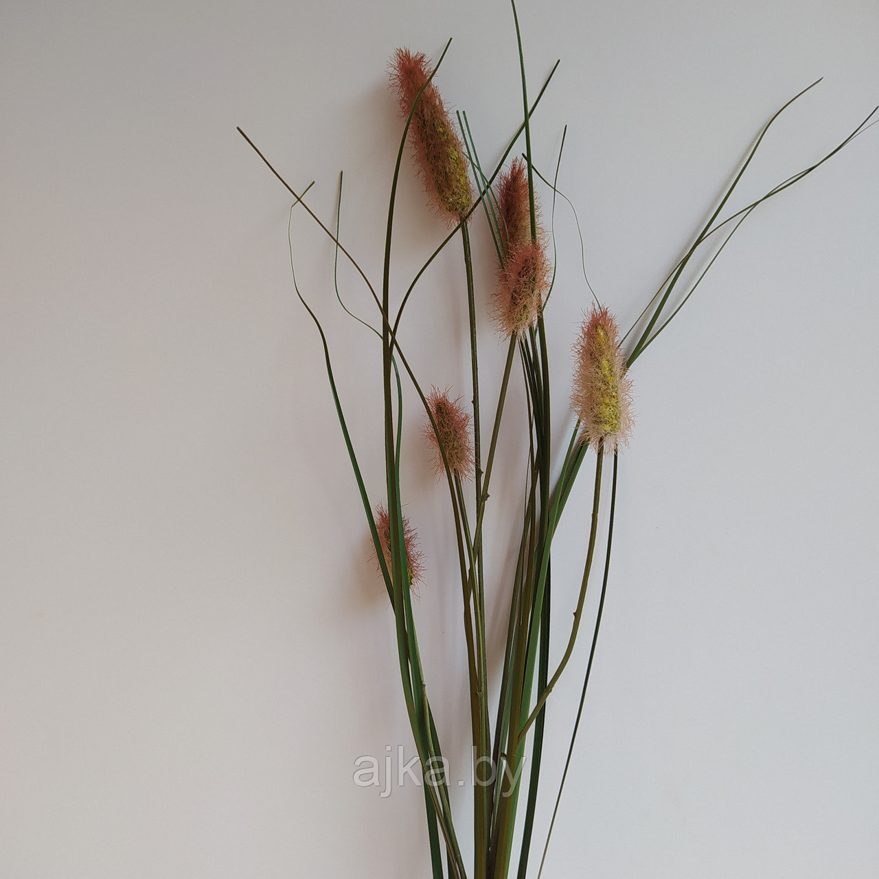 Сухоцвет декоративный Заячий хвостик, коричневый - фото 1 - id-p193464506