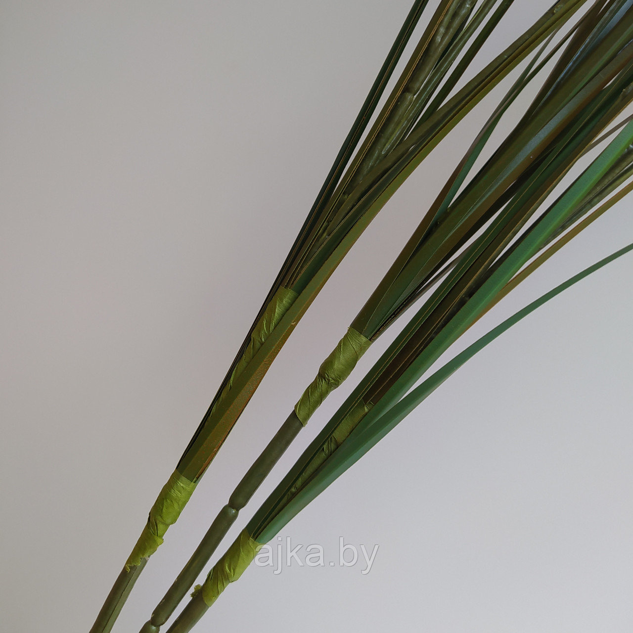 Сухоцвет декоративный Заячий хвостик, коричневый - фото 4 - id-p193464506