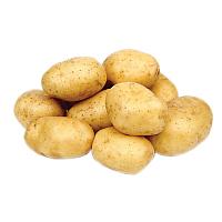 Акция на семенной картофель! На все сорта и репродукции -15%