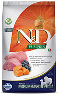 Сухой корм для собак Farmina N&D GF Pumpkin Dog Lamb & Blueberry Adult Medium & Maxi (ягненок, тыква, черника)