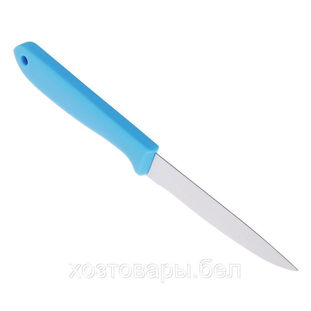 Нож для овощей в чехле, 9см, цвет ассорти - фото 3 - id-p193488326