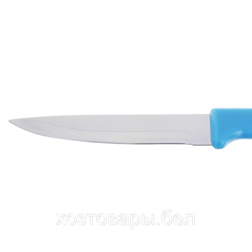 Нож для овощей в чехле, 9см, цвет ассорти - фото 6 - id-p193488326