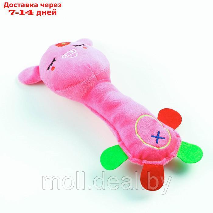 Игрушка мягкая для собак "Свинка с длинной шеей", 24 см, розовая - фото 2 - id-p193444288