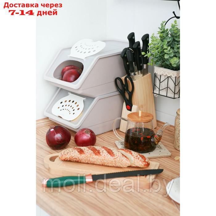 Набор кухонных ножей "Кронос" 7 предметов на подставке - фото 7 - id-p193447486