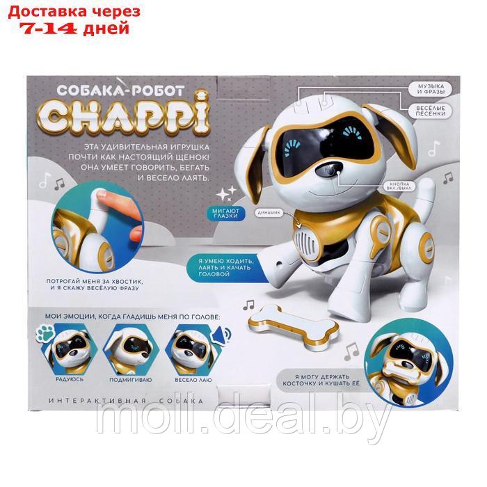 Собака-робот интерактивная "Чаппи", звуковые и световые эффекты, ходит цвет золотой - фото 8 - id-p193448539