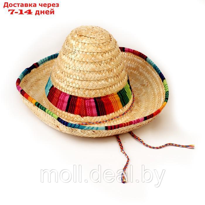 Карнавальная шляпа "Сомбреро" - фото 1 - id-p193447759