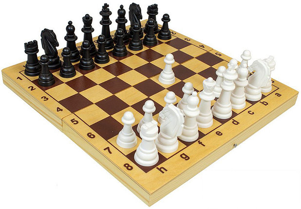 Шахматы и шашки пластмассовые в деревянной упаковке (поле 29х29 см), фото 2
