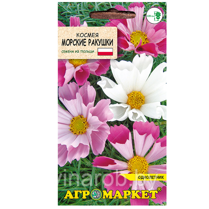 Космея Морские ракушки, 0,5г (до 10.2024)