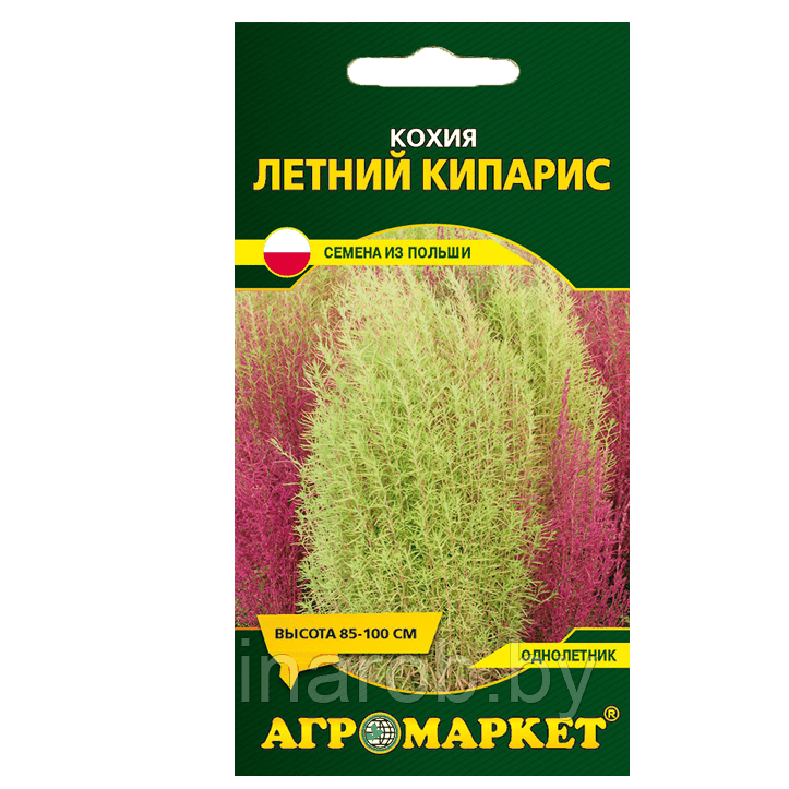 Купить Кохия Летний кипарис, 0,5 г: цена, описание, инструкция по ...