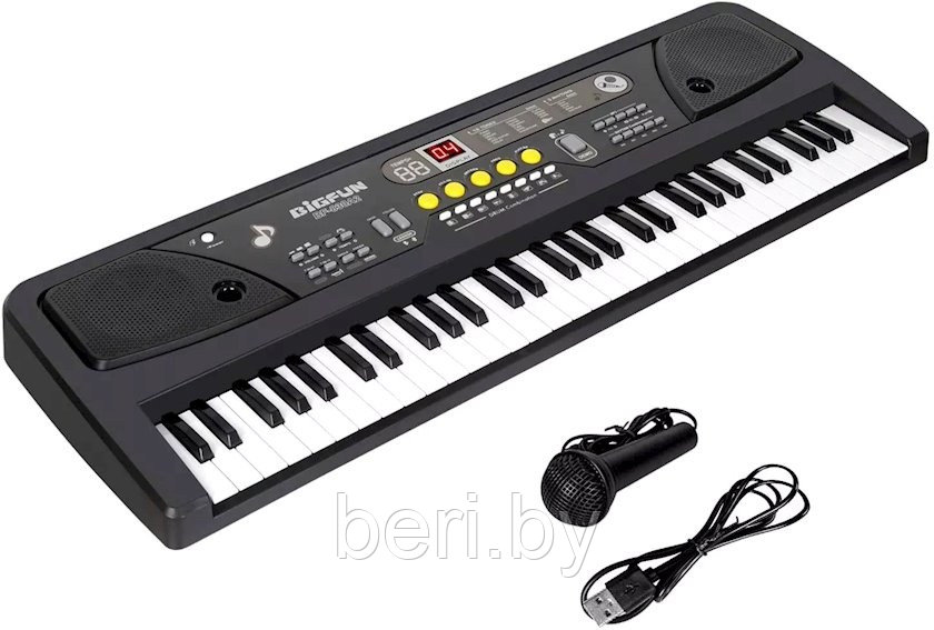 BF-830A2 Детский синтезатор Bigfun, пианино, микрофон, USB, MP3, запись, 61 клавиша - фото 3 - id-p193214578