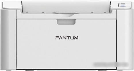 Принтер Pantum P2200 - фото 1 - id-p193513760