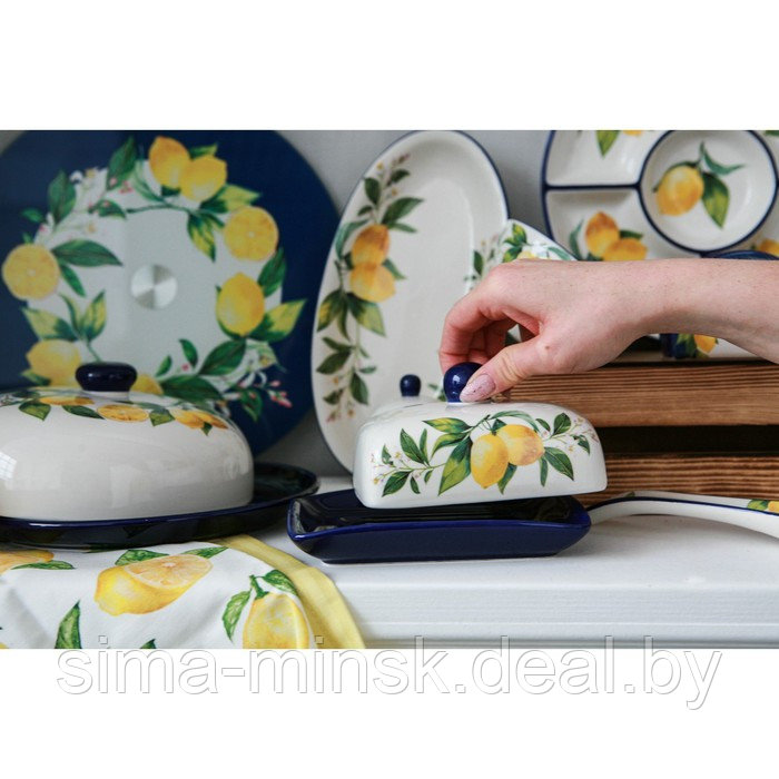 Маслёнка Доляна «Лимон», 17×12×8,5 см, цвет белый - фото 8 - id-p193619923