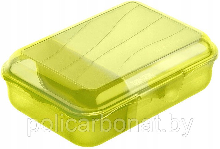 Контейнер для хранения Snack Box S 0.9 l FUN, зеленый
