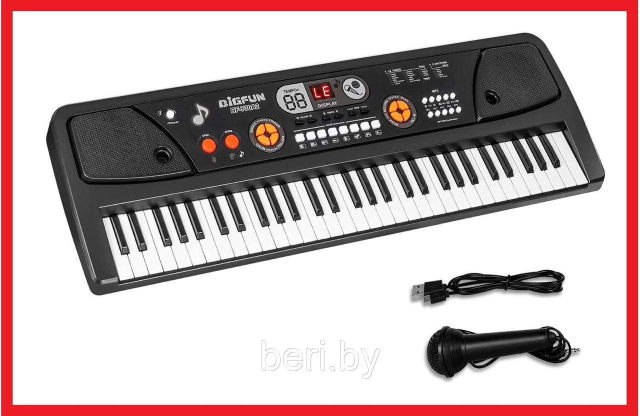 BF-730A2 Детский синтезатор Bigfun, пианино, микрофон, USB, MP3, запись, 61 клавиша - фото 2 - id-p193632519
