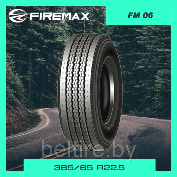 Шины 385/65 R22.5 FIREMAX FM06
