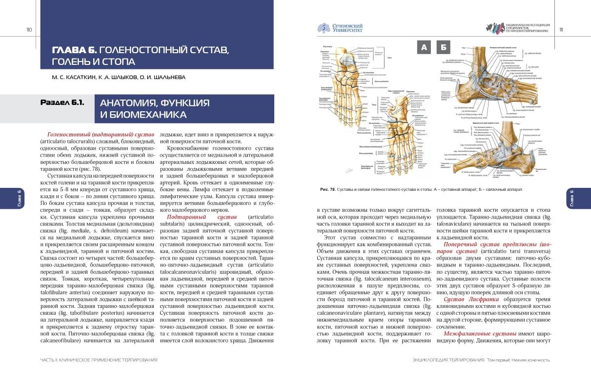 Энциклопедия тейпирования. Том 1. Нижняя конечность. Под редакцией Касаткина М.С., Ачкасова Е.Е. - фото 5 - id-p131426569
