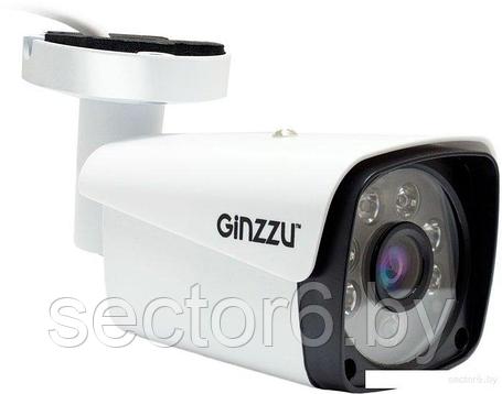 IP-камера Ginzzu HIB-5301A, фото 2