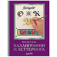 Книга "Основы каллиграфии и леттеринга", Ферраро К., Ньюхолл А., Меткалф Ю., Стивенс Д.