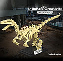 Конструктор Скелет Велоцираптора, Decool 81005, кости Динозавров, фото 2