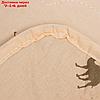 Одеяло "Этель" Верблюжья шерсть 172*205 см, тик, 300 гр/м2, фото 3