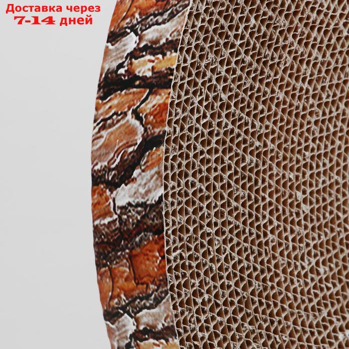 Гофрокогтеточка "Пижон" высокая круглая "Спил сосны", с пропиткой, 35 х 4 см - фото 4 - id-p193698587