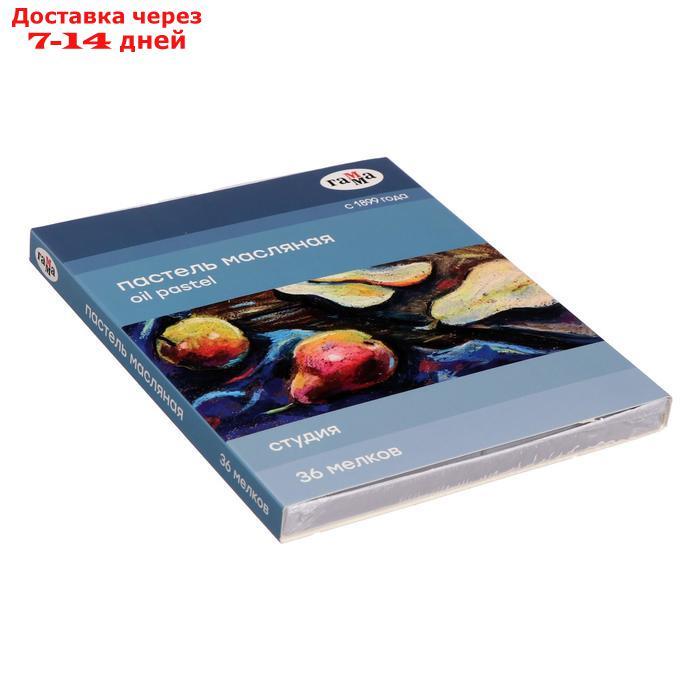 Пастель масляная, набор 36 цветов, Гамма "Студия", d-8мм, l-65мм, в картонной коробке - фото 3 - id-p193699641