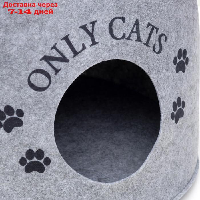 Домик для животных из войлока "Ушастик ONLY CATS", 46 х 46 х 43 см - фото 5 - id-p193698624