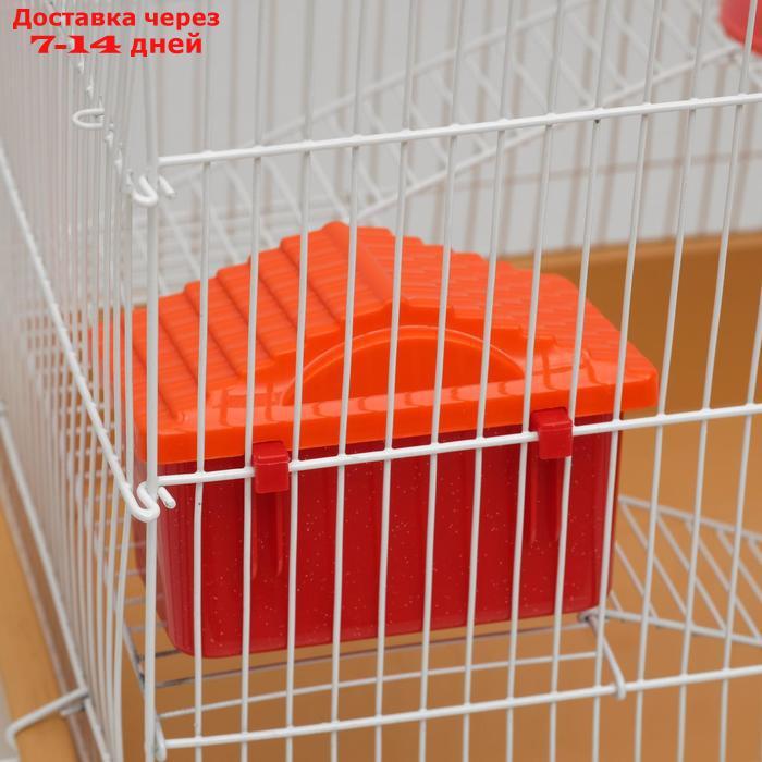 Клетка для грызунов "Пижон" №3, с 2-я этажами, укомплектованная, 33 х 24 х 28 см, бежевая - фото 5 - id-p193698650