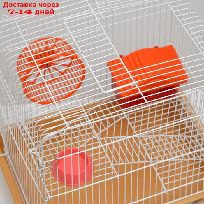Клетка для грызунов "Пижон" №3, с 2-я этажами, укомплектованная, 33 х 24 х 28 см, бежевая - фото 8 - id-p193698650