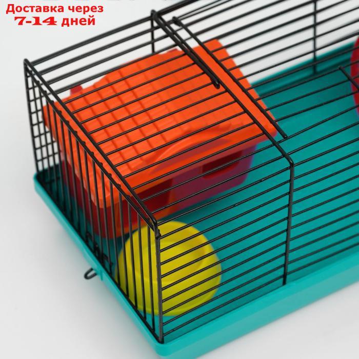 Клетка-мини для грызунов "Пижон" №1, укомплектованная, 27 х 15 х 13 см, бирюзовая - фото 5 - id-p193698682