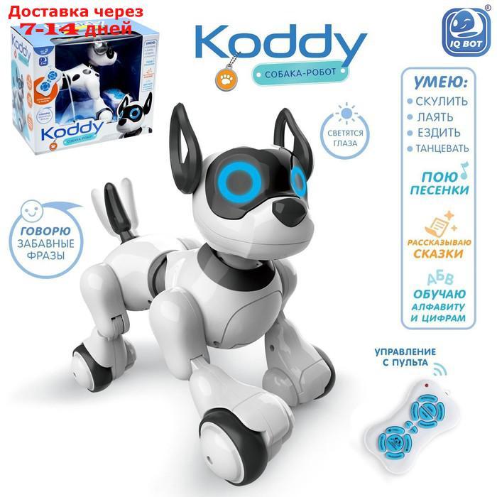 Робот-игрушка радиоуправляемый Собака Koddy, световые и звуковые эффекты, русская озвучка - фото 1 - id-p193700770