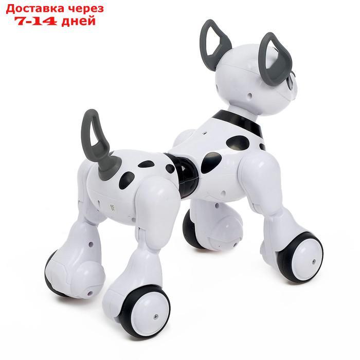 Робот-игрушка радиоуправляемый Собака Koddy, световые и звуковые эффекты, русская озвучка - фото 3 - id-p193700770