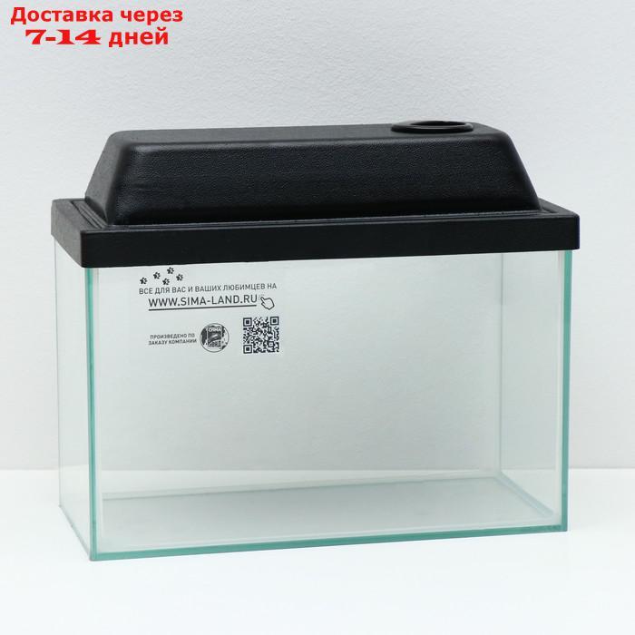 Аквариум прямоугольный с крышкой, 10 литров, 32 x 15 x 21/23,5 см, чёрный - фото 1 - id-p193697678