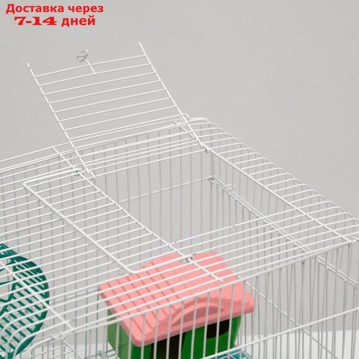 Клетка для грызунов "Пижон" №3, с 2-я этажами, укомплектованная, 33 х 24 х 28 см, бирюзовая - фото 5 - id-p193698703