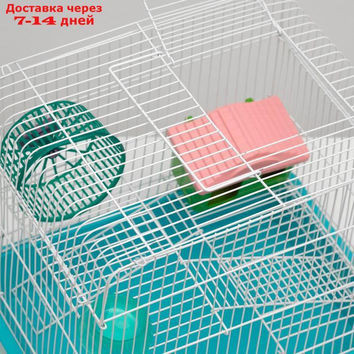 Клетка для грызунов "Пижон" №3, с 2-я этажами, укомплектованная, 33 х 24 х 28 см, бирюзовая - фото 6 - id-p193698703