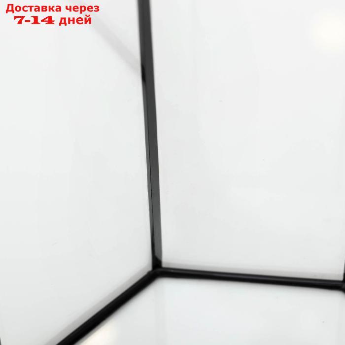 Аквариум восьмигранный с крышкой, 24 литра, 25 х 25 х 46/50 см, чёрный - фото 6 - id-p193697687