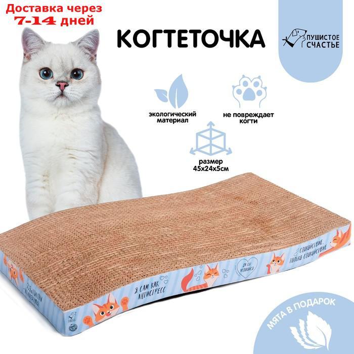Когтеточка из картона с кошачьей мятой "Когтеточка-антистресс", волна - фото 1 - id-p193698742