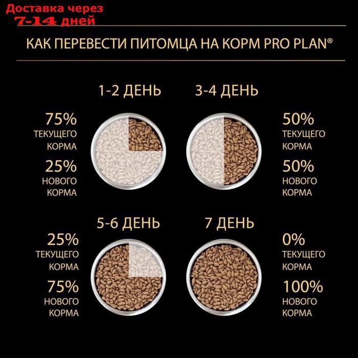 Сухой корм PRO PLAN для щенков мелких пород, курица/рис, 700 г - фото 7 - id-p193697772