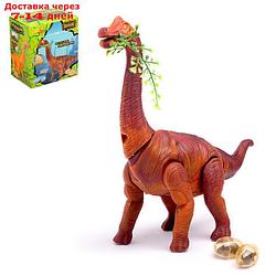 Динозавр "Брахиозавр травоядный", работает от батареек, откладывает яйца, с проектором, цвет коричневый