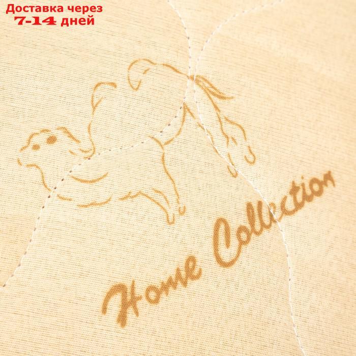 Одеяло Верблюжья шерсть 200х215 см 150 гр, пэ, конверт - фото 2 - id-p193695747