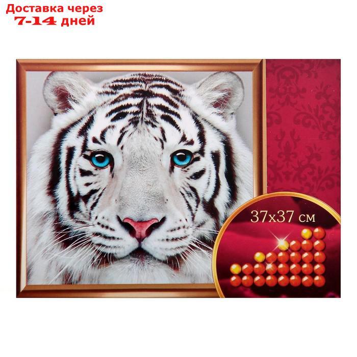 Алмазная вышивка с частичным заполнением "Белый тигр", 37 х 37 см. Набор для творчества