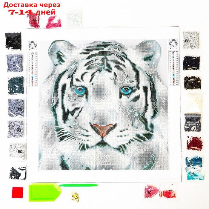 Алмазная вышивка с частичным заполнением "Белый тигр", 37 х 37 см. Набор для творчества - фото 2 - id-p193696776